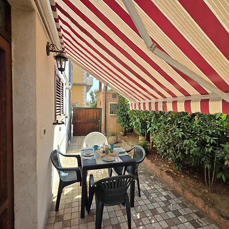 Orchidea Pt Silvi Silvi Marina