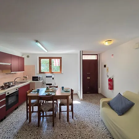 Orchidea Pt Silvi Silvi Marina