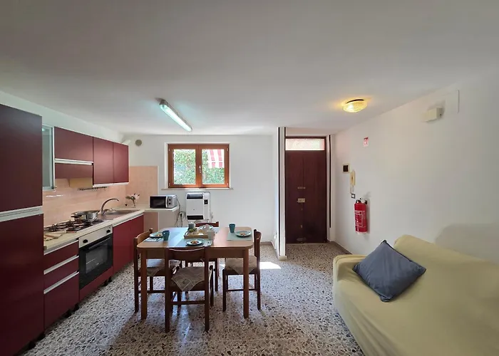 Orchidea Pt Silvi Silvi Marina